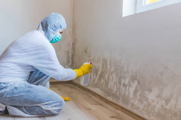 Crawl Space Mold Remediation treatment of floor joists in Cassville